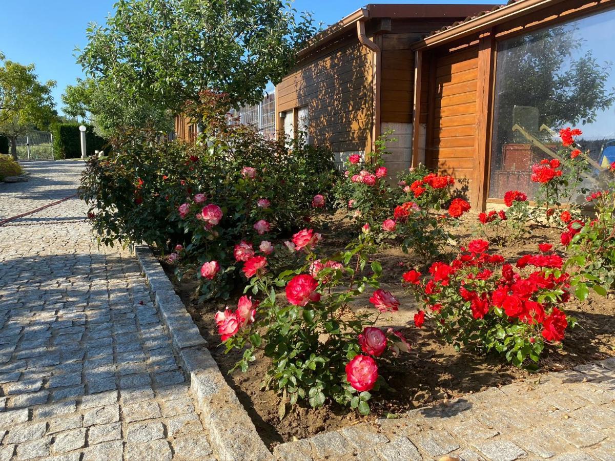 Gites Des Sablons Châtillon-sur-Marne Exteriör bild