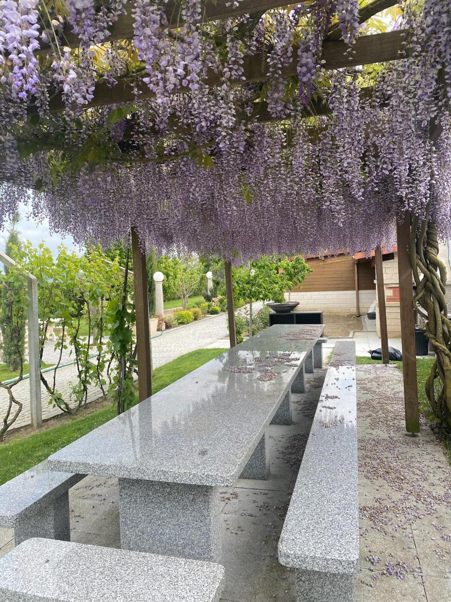 Gites Des Sablons Châtillon-sur-Marne Exteriör bild