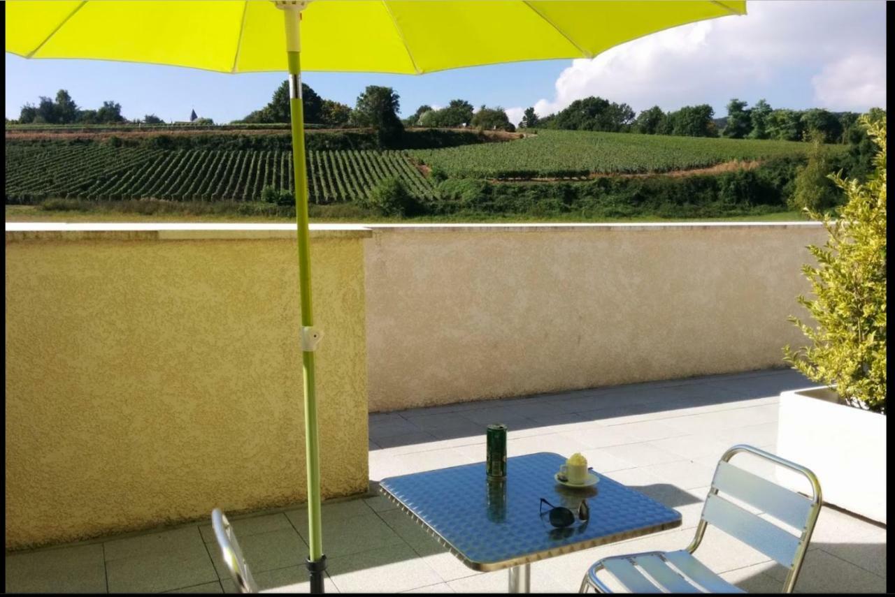 Gites Des Sablons Châtillon-sur-Marne Exteriör bild
